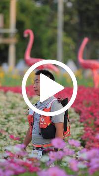 BIB:  <button type="button" onclick="openModal(27582932)" class="btn btn-primary btn-sm float-right" data-toggle="modal" data-target=".modal-high-quality">
                <i class="fa fa-download"></i> Download
                </button>